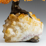 Citrine Gemstone Tree on Citrine Matrix // The Calming Tree // 1.95 lb