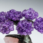 Amethyst Gemstone Tree on Rose Quartz Matrix // 1 lb