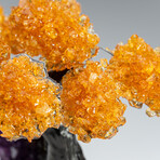 Citrine Gemstone Tree on Amethyst Matrix // The Money Tree // 1.25 lb