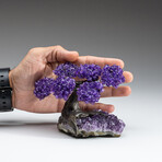 Amethyst Gemstone Tree on Amethyst Matrix // The Protection Tree // 1 lb