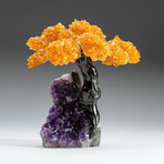 Citrine Gemstone Tree on Amethyst Matrix // The Money Tree // 1.25 lb