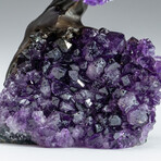 Amethyst Gemstone Tree on Amethyst Matrix // The Protection Tree // 1.25 lb