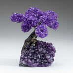 Amethyst Gemstone Tree on Amethyst Matrix // The Protection Tree // 1.25 lb