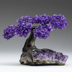 Amethyst Gemstone Tree on Amethyst Matrix // The Protection Tree // 1 lb