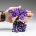 Amethyst Gemstone Tree on Amethyst Matrix // The Protection Tree // 1.25 lb