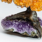 Citrine Gemstone Tree on Amethyst Matrix // The Money Tree // 1 lb