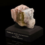 Watermelon Tourmaline, Quartz, And Blue Muscovite