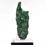 Botryoidal Malachite