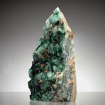 Green Fluorite // 10.84 Lb.