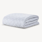 Allergy-Free Quilted Mattress Pad (Twin)