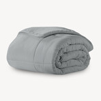 Microfiber Down-Alternative Comforter // Gray (Twin)