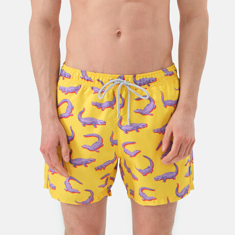 Jasiah Swim Shorts // Multicolor (S)