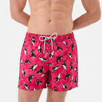 Victor Swim Shorts // Multicolor (L)