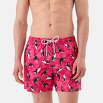 Victor Swim Shorts // Multicolor (L)