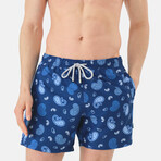 Grayson Swim Shorts // Multicolor (XL)