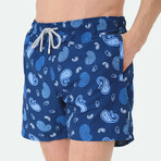 Grayson Swim Shorts // Multicolor (XL)