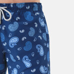 Grayson Swim Shorts // Multicolor (XL)