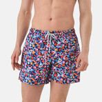 Clayton Swim Shorts // Multicolor (M)