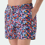 Clayton Swim Shorts // Multicolor (M)