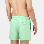 Giovanny Swim Shorts // Mint (XL)
