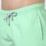 Giovanny Swim Shorts // Mint (XL)