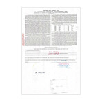 United Airlines Inc. Stock Certificate // 1,000 Shares // Purple // 1970s