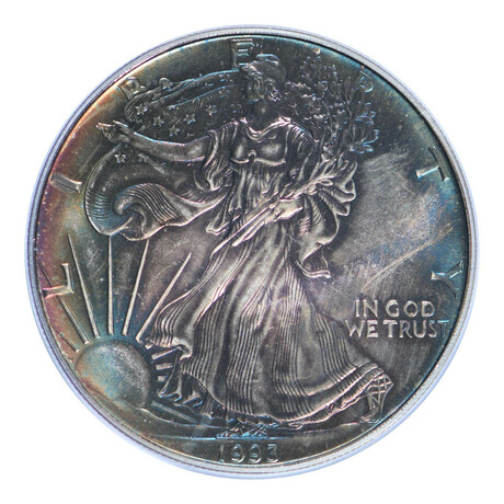 1993 $1 American Silver Eagle // PCGS Certified MS67 // Midnight Toned // Deluxe Collector's Pouch