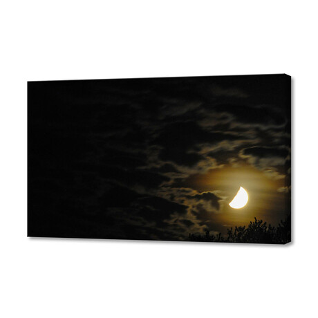 Activity in the Night (12"H x 8"W x 0.75"D)