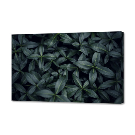 Green (12"H x 8"W x 0.75"D)