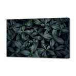 Green (12"H x 8"W x 0.75"D)