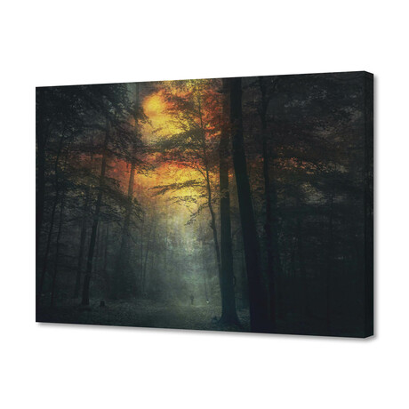 Inner Fire - Misty Forest At Sunrise (8"H x10"W x 0.75"D)