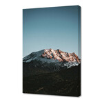 nature-02 (8"H x 12"W x 0.75"D)