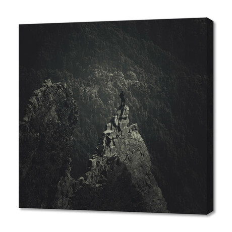 Above It All Dark (12"H x 12"W x 0.75"D)