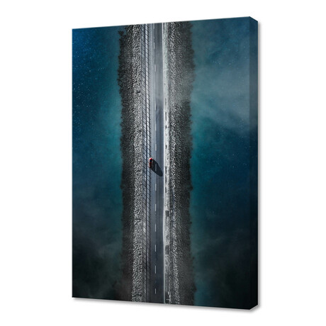 nature-03 (8"H x 12"W x 0.75"D)