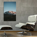 nature-02 (8"H x 12"W x 0.75"D)