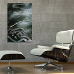 nature-09 (8"H x 12"W x 0.75"D)