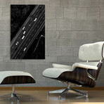 nature-16 (8"H x 12"W x 0.75"D)