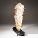 Polished Natural Agate Slice On Stand