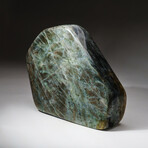 Genuine Polished Labradorite Freeform