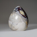 Genuine Polished Ocean Jasper Freeform