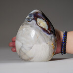 Genuine Polished Ocean Jasper Freeform