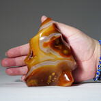 Genuine Polished Carnelian Flame Freeform