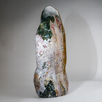 Giant Genuine Polished Ocean Jasper Freeform // Ver. 1