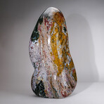 Giant Genuine Polished Ocean Jasper Freeform // Ver. 1