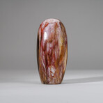 Genuine Polished Petrified Wood Freeform