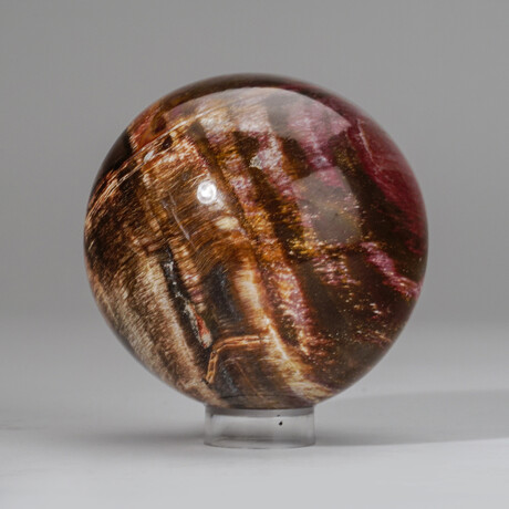 Genuine Polished Petrified Wood Sphere + Acrylic Display Stand