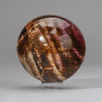 Genuine Polished Petrified Wood Sphere + Acrylic Display Stand