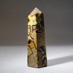 Genuine Polished Septarian Obelisk