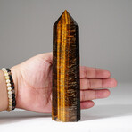 Genuine Polished Tiger Eye Obelisk // Ver. 2