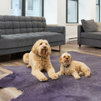 Geneva Cowhide Rug // 6' X 7' (Black)